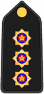 Insignia PM O1.PNG