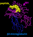 A2-peptide.PNG