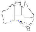 Nothomyrmecia macrops occurrence map.png