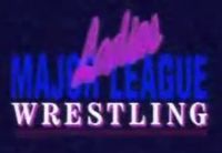 Ladies Major League WrestlingWild Women of Wrestling logo