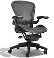 Aeron chair JN.jpg