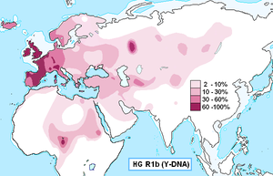 Haplogroup R1b (Y-DNA).PNG