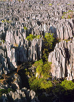 Tsingy de Bemaraha.jpg