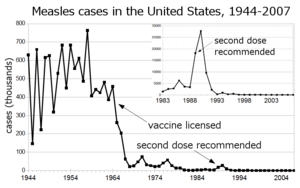 Measles cases 1944-1963 followed a highly variable epidemic pattern, with 150,000-850,000 cases reported per year. A sharp decline followed introduction of the first measles vaccine in 1963, with fewer than 25,000 cases reported in 1968. Outbreaks around 1971 and 1977 gave 75,000 and 57,000 cases, respectively. Cases were stable at a few thousand per year until an outbreak of 28,000 in 1990. Cases declined from a few hundred per year in the early 1990s to a few dozen in the 2000s.