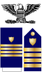 US CG O6 insignia.svg