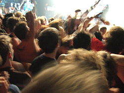 Moshpit3.jpg