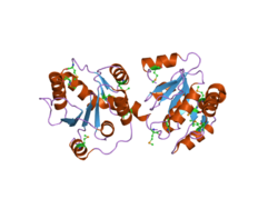 PDB 2o6l EBI.png