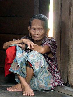 Penan woman.jpg