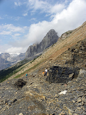 WalcottQuarry080509.jpg