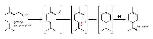 Biosynthesis of limonene from geranyl pyrophosphate