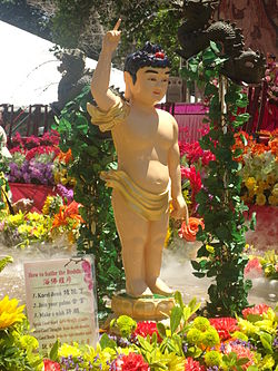 Baby Siddarhtha.JPG