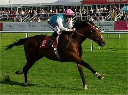 Frankel (horse).jpg