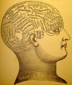 A phrenological mapping of the brain – phrenology was among the first attempts to correlate mental functions with specific parts of the brain