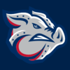 IronPigs.PNG