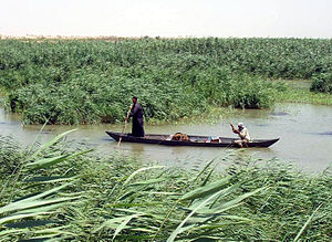 Marsh Arabs in a mashoof.jpg