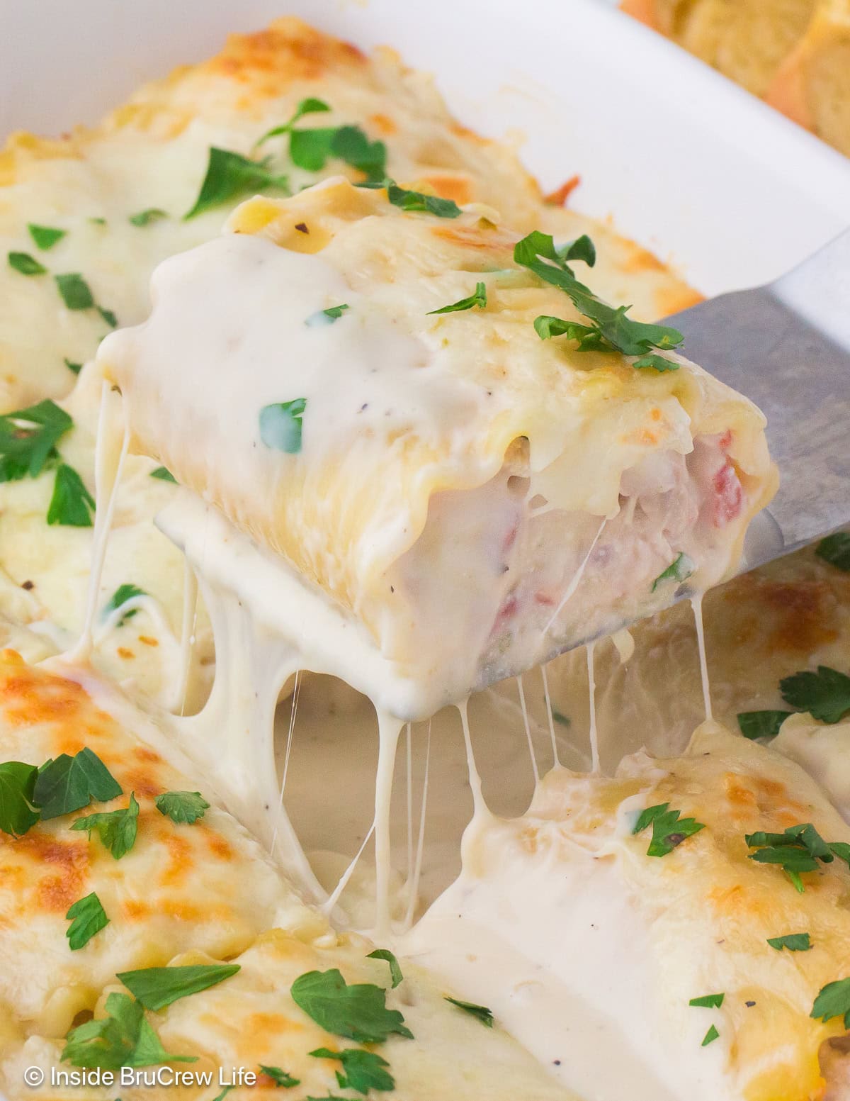 A creamy cheesy Alfredo lasagna roll being lifted out of a pan.