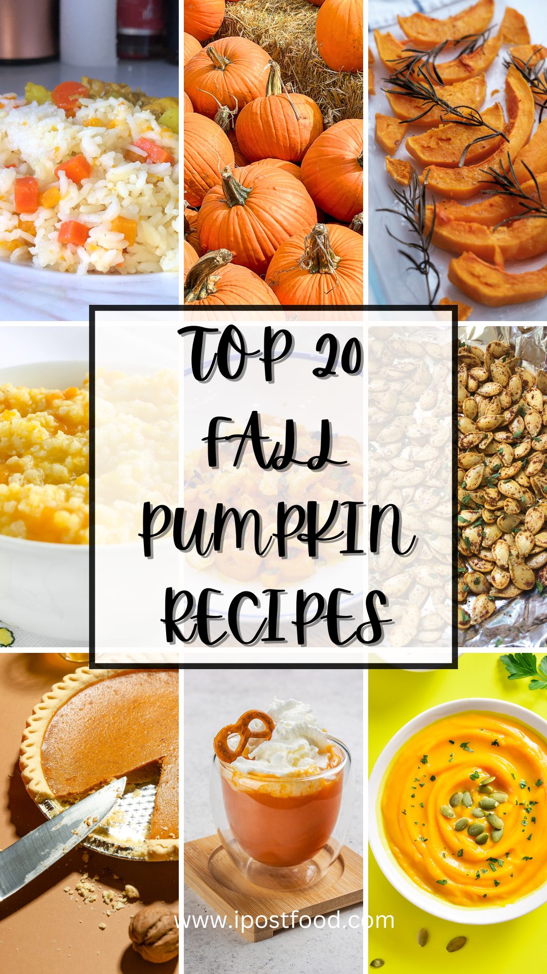 Pumpkin Recipes Pinterest Pin