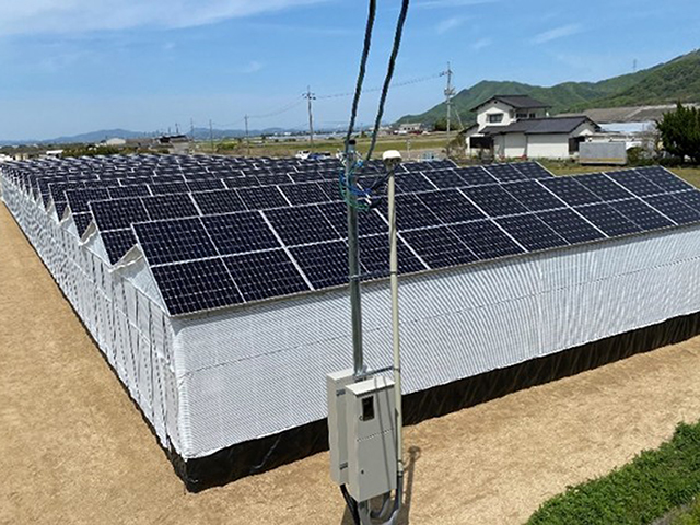 天井部片面に設置された太陽光パネルの発電出力は49.5kW