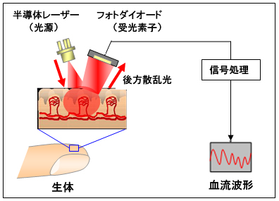 イメージ画像【血流計測イメージ図】