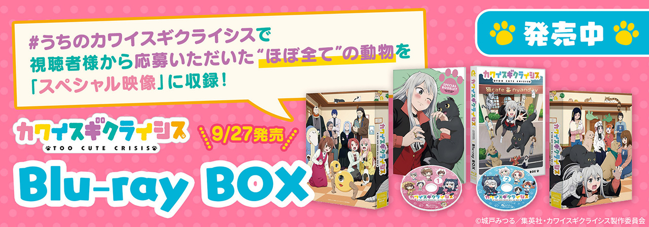 Blu-ray BOX 発売中🐾