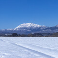 雪原の彼方