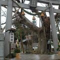 写真: 羽咋神社の大晦日