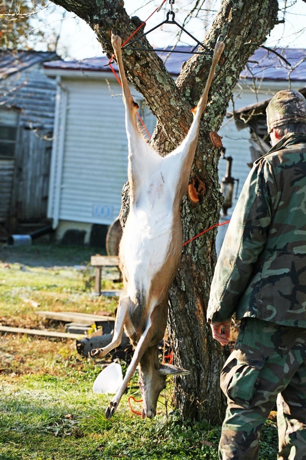 The deer is ready to butcher. 