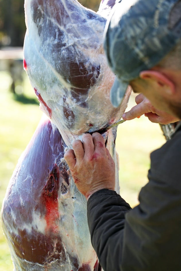 Removing the back strap. 