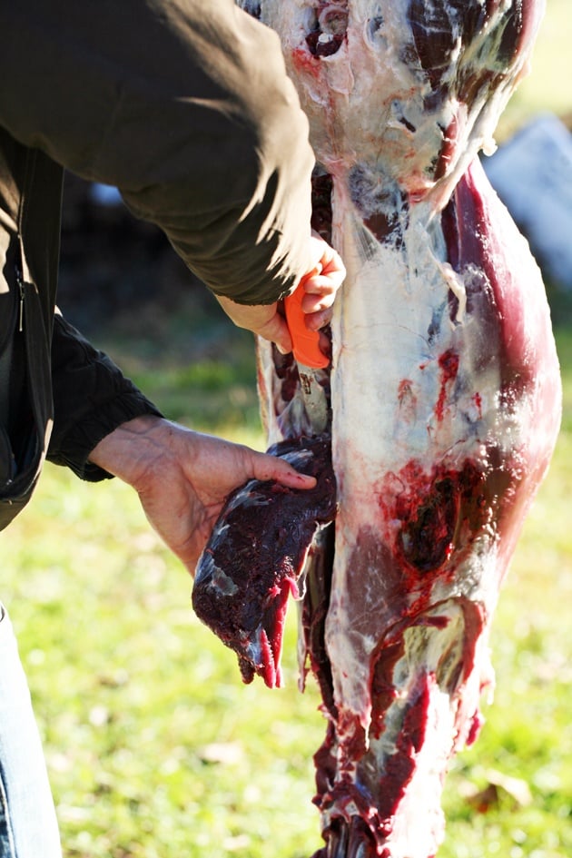 Cutting the back strap. 