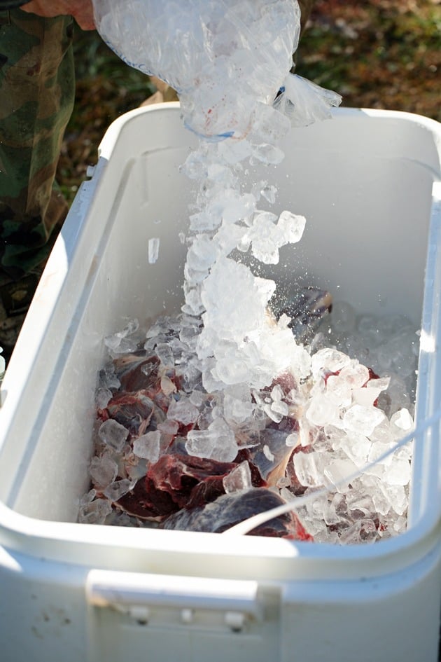 Adding ice on the meat. 