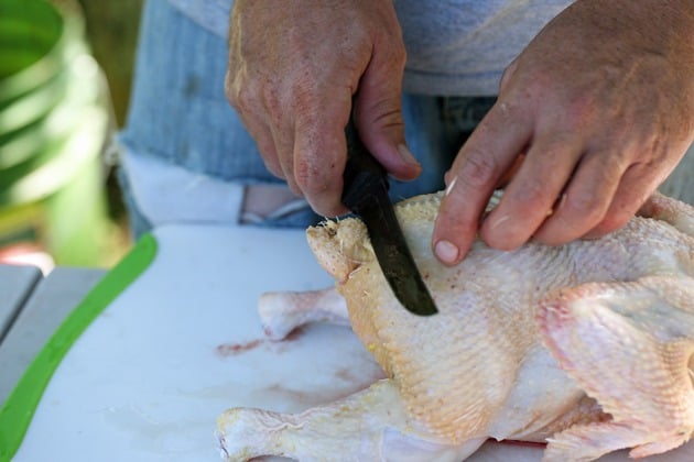 Removing the oil gland from the tail