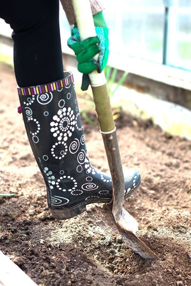 Person's foot in the dirt while digging with shovel