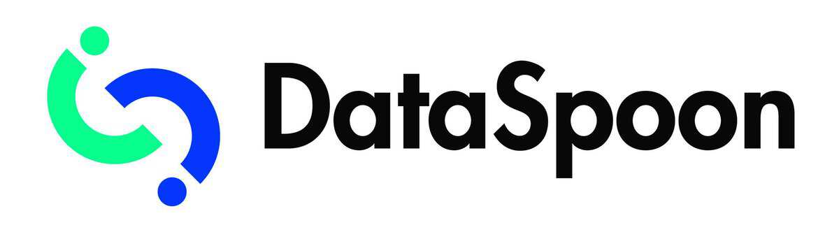 dataspoon