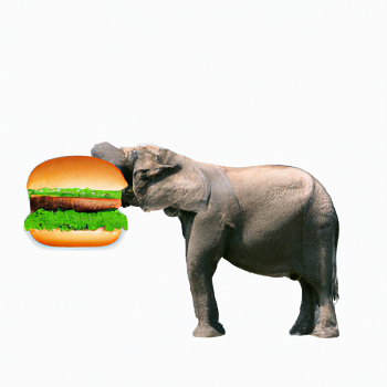 Example AI generated image of an elephant eating a hamburger.