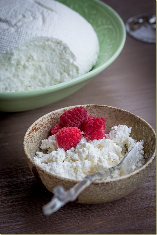 A bowl of farmer’s cheese topped with fresh raspberries and a spoon. 