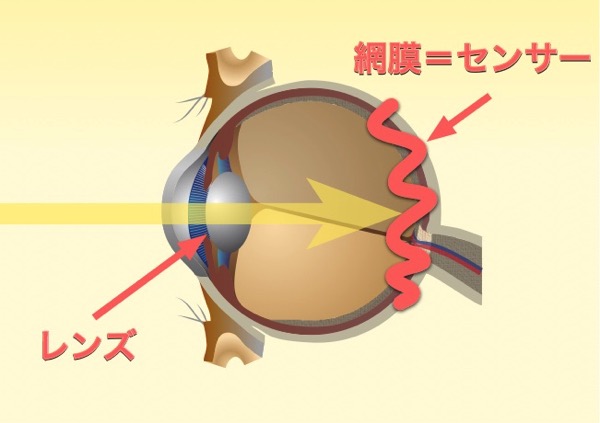 カメラとレンズの比較