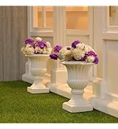 iLAND Miniature Dollhouse Accessories, 2pcs Dollhouse Plants w/Dry Flowers (2pcs Mini Urn Planter...