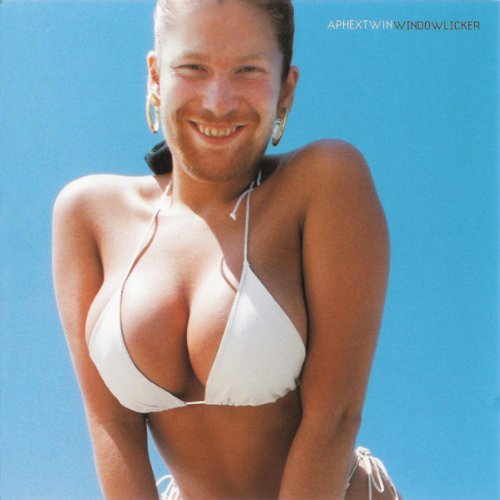 WINDOWLICKER cover art