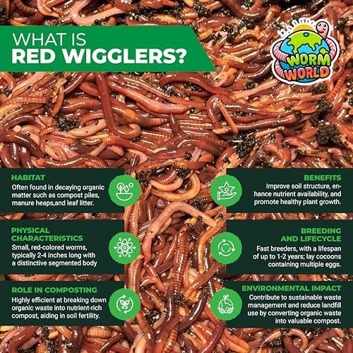 Generic 1000 Red Wigglers for Composting - Live Worms for Vermiculture and Organic Gardening - Perfect for Soil Enrichment and Waste Reduction, Brown