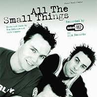 Primary photo for Blink-182: All the Small Things