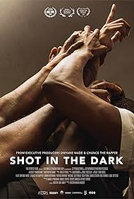 Shot in the Dark (2017)