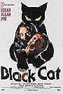 The Black Cat (1981)