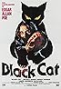 Le Chat noir (1981) Poster