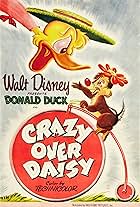 Crazy Over Daisy