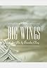 Big Wings (2012) Poster