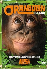 Primary photo for Orangutan Island