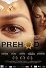 Prehod (2008)