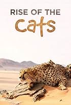 Cats: An Amazing Animal Family (2015)