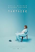 Tortoise