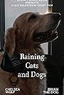 Raining Cats and Dogs (2017)